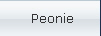 Peonie