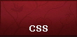 CSS
