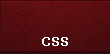 CSS