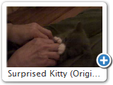 Surprised Kitty (Original)